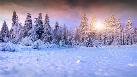 winter aesthetic wallpaper|free winter wallpaper for desktop.